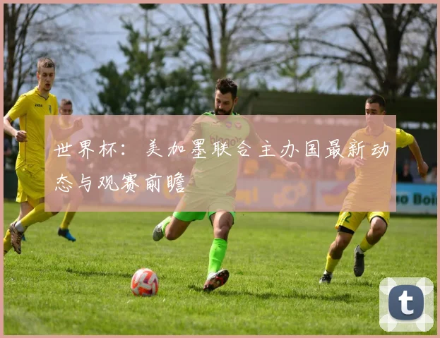 世界杯：美加墨联合主办国最新动态与观赛前瞻