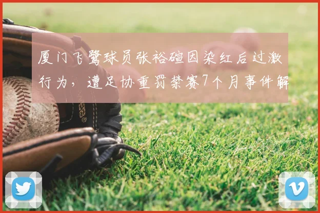 厦门飞鹭球员张裕碹因染红后过激行为，遭足协重罚禁赛7个月事件解析
