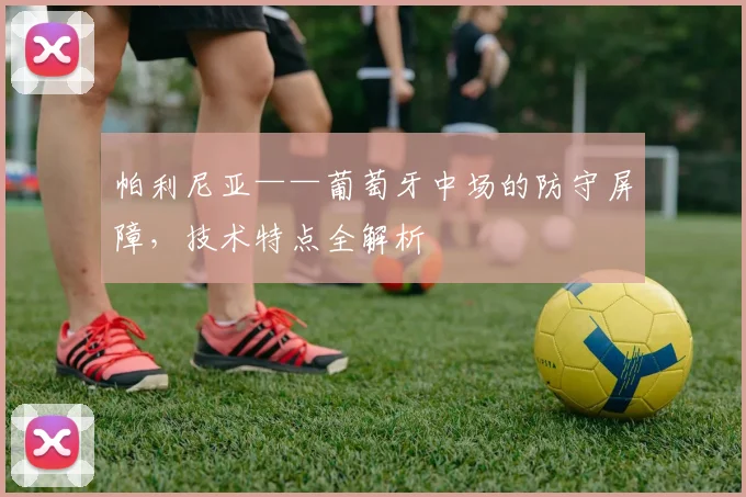 帕利尼亚——葡萄牙中场的防守屏障，技术特点全解析