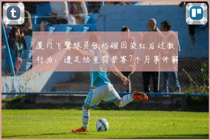 厦门飞鹭球员张裕碹因染红后过激行为，遭足协重罚禁赛7个月事件解析