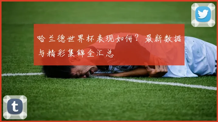 哈兰德世界杯表现如何？最新数据与精彩集锦全汇总