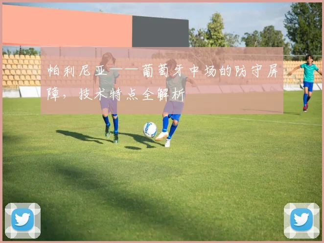 帕利尼亚——葡萄牙中场的防守屏障,技术特点全解析